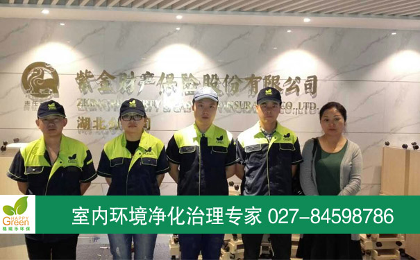 紫金保險(xiǎn)新裝修辦公室除甲醛