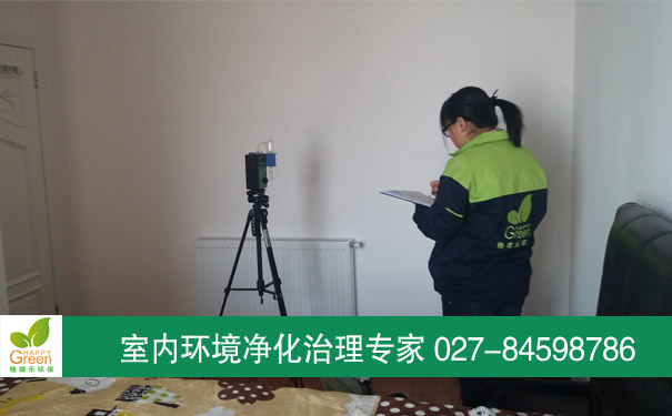 江岸王府花園業(yè)主新房甲醛檢測(cè)