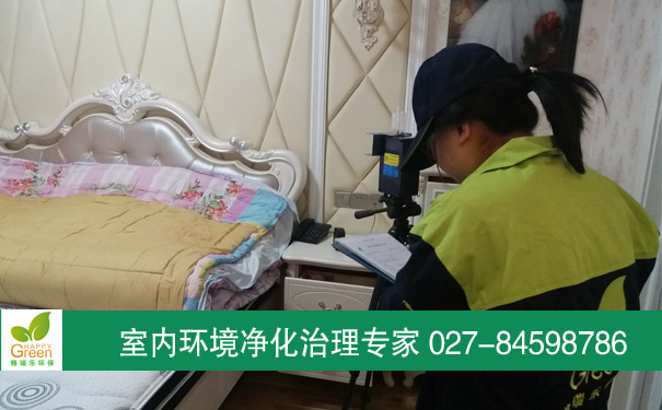 蔡甸沁園首府業(yè)主新房甲醛檢測(cè)