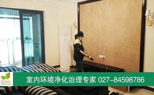 【江夏除甲醛】怡景江南業(yè)主新房除甲醛