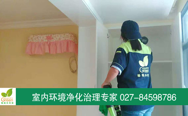 【漢陽(yáng)除甲醛】玫瑰街業(yè)主新房除甲醛
