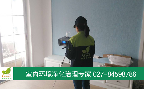 硚口江山如畫(huà)4期3棟業(yè)主新房甲醛檢測(cè)