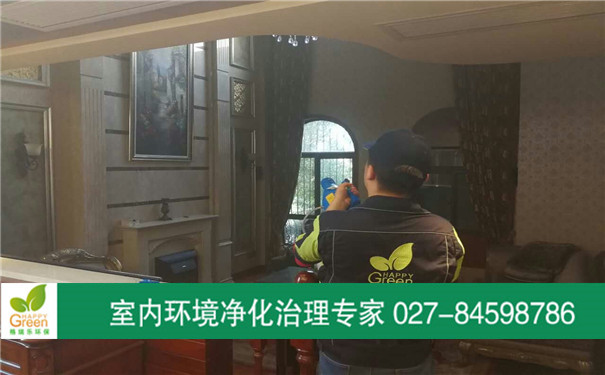 蔡甸區(qū)東方夏威夷別墅治理