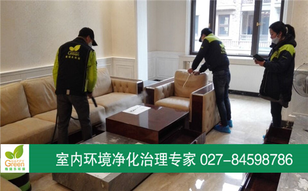 武昌區(qū)復(fù)地東湖國(guó)際甲醛治理